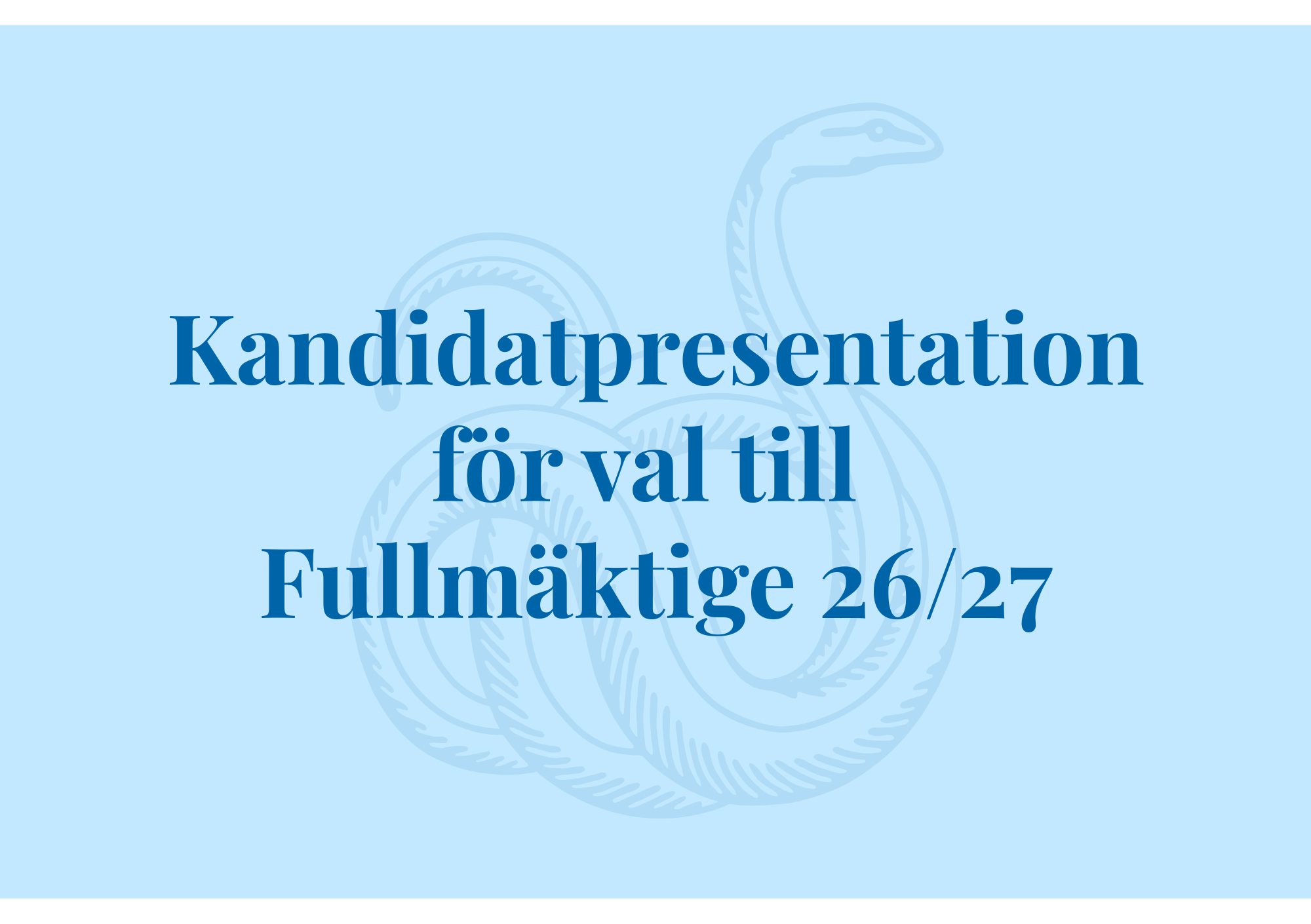 Bild för kandidatpresentation