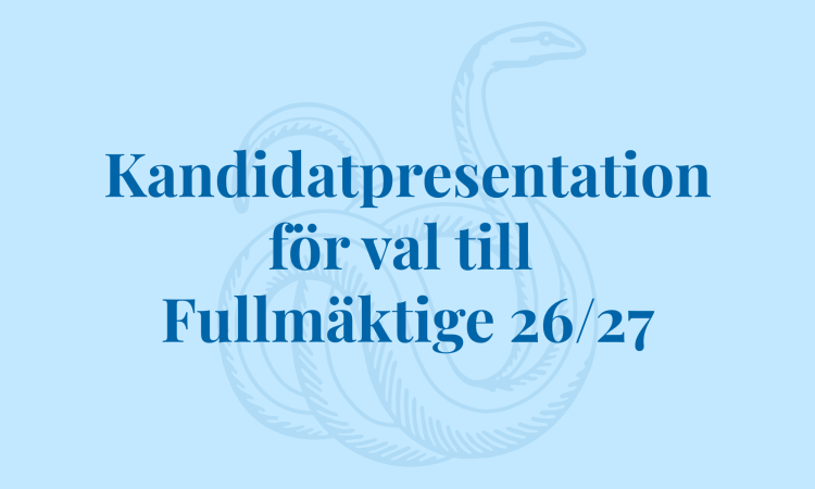 Bild för kandidatpresentation